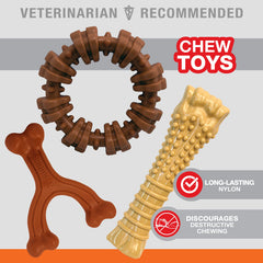 Nylabone Power Chew bone flavor detail with allergen-free peanut butter