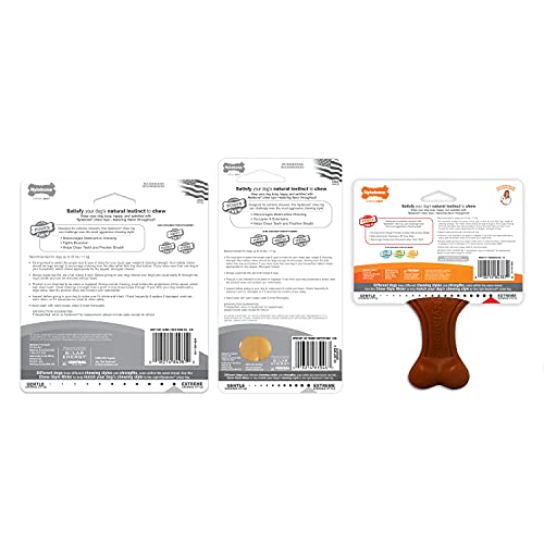 Nylabone Power Chew durable-play showcases rugged design built for lasting play sessions.
