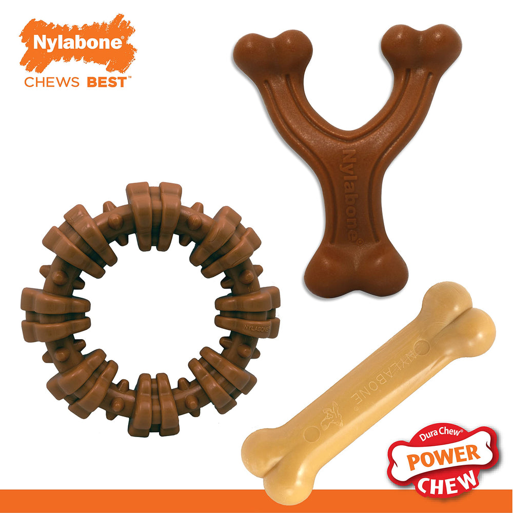 Nylabone Power Chew flavor-variety offers engaging tastes to keep dogs interested during play.