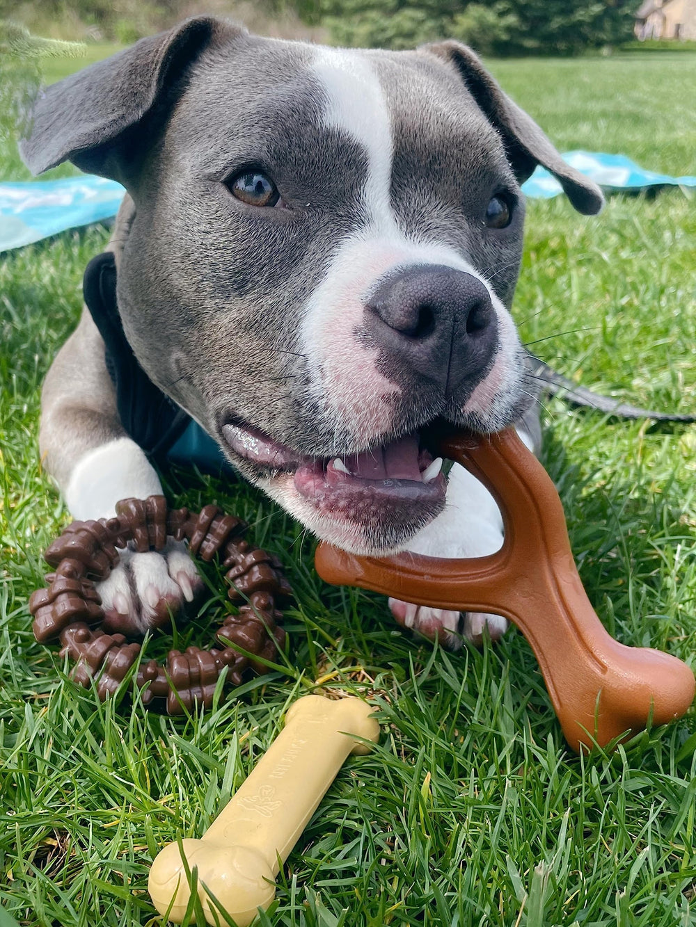 Nylabone Power Chew small-dog-toy highlights a compact chew ideal for dogs up to 25 lbs.
