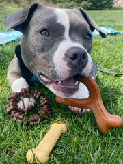 Nylabone Power Chew small-dog-toy highlights a compact chew ideal for dogs up to 25 lbs.