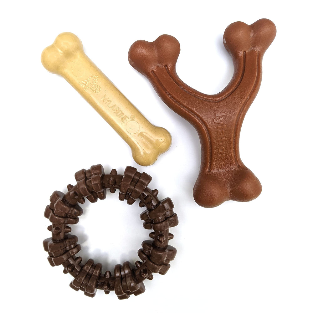 Nylabone Power Chew bundle toy collection shows durable chews for small dogs, ideal for boredom relief.