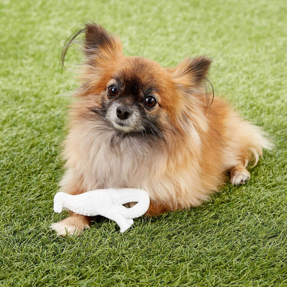 Nylabone Power Chew Dental Dino in a home play setting