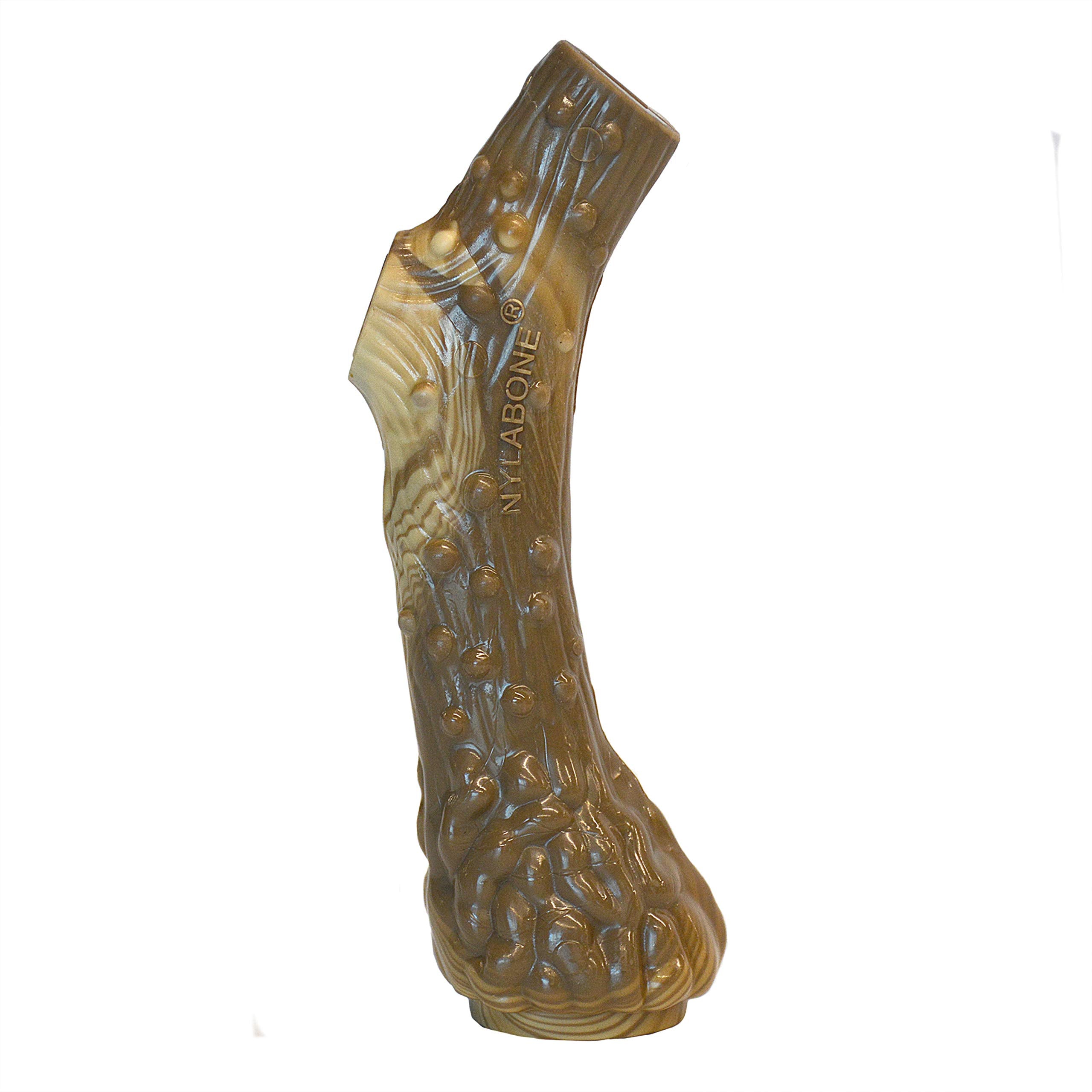 Nylabone Power Chew durable nylon texture, showing bite resistance.