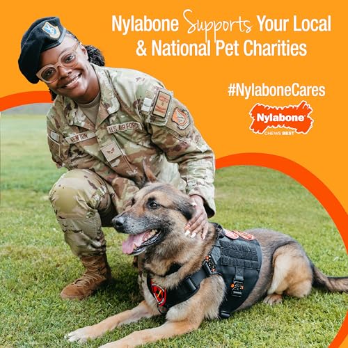 Nylabone Power Chew extra-large dog sizing for big breeds.