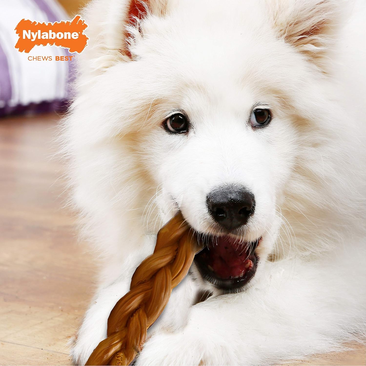 Nylabone Power Chew Braided Bully Stick Alternative suited for dogs up to 50lbs