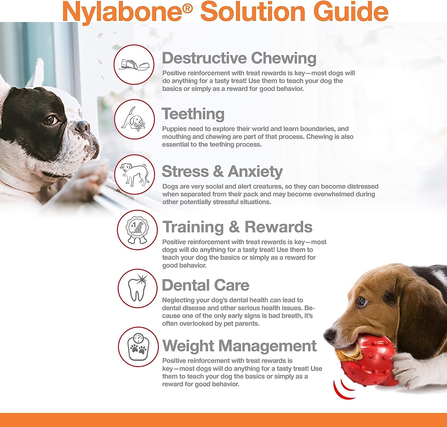 Nylabone Power Chew Braided Bully Stick Alternative two-pack setup