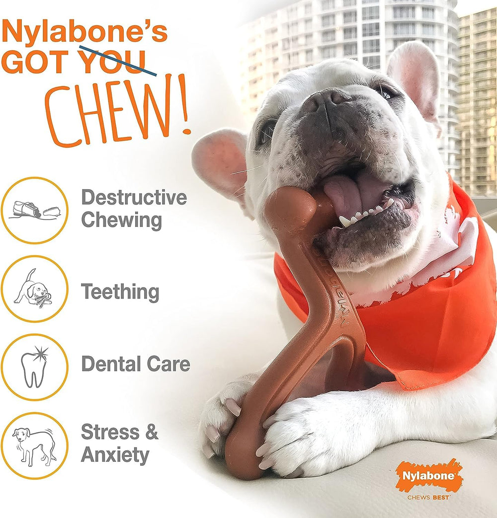 Nylabone Power Chew Braided Bully Stick Alternative USA-made quality shot