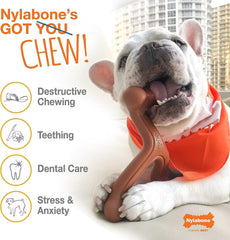 Nylabone Power Chew Braided Bully Stick Alternative USA-made quality shot