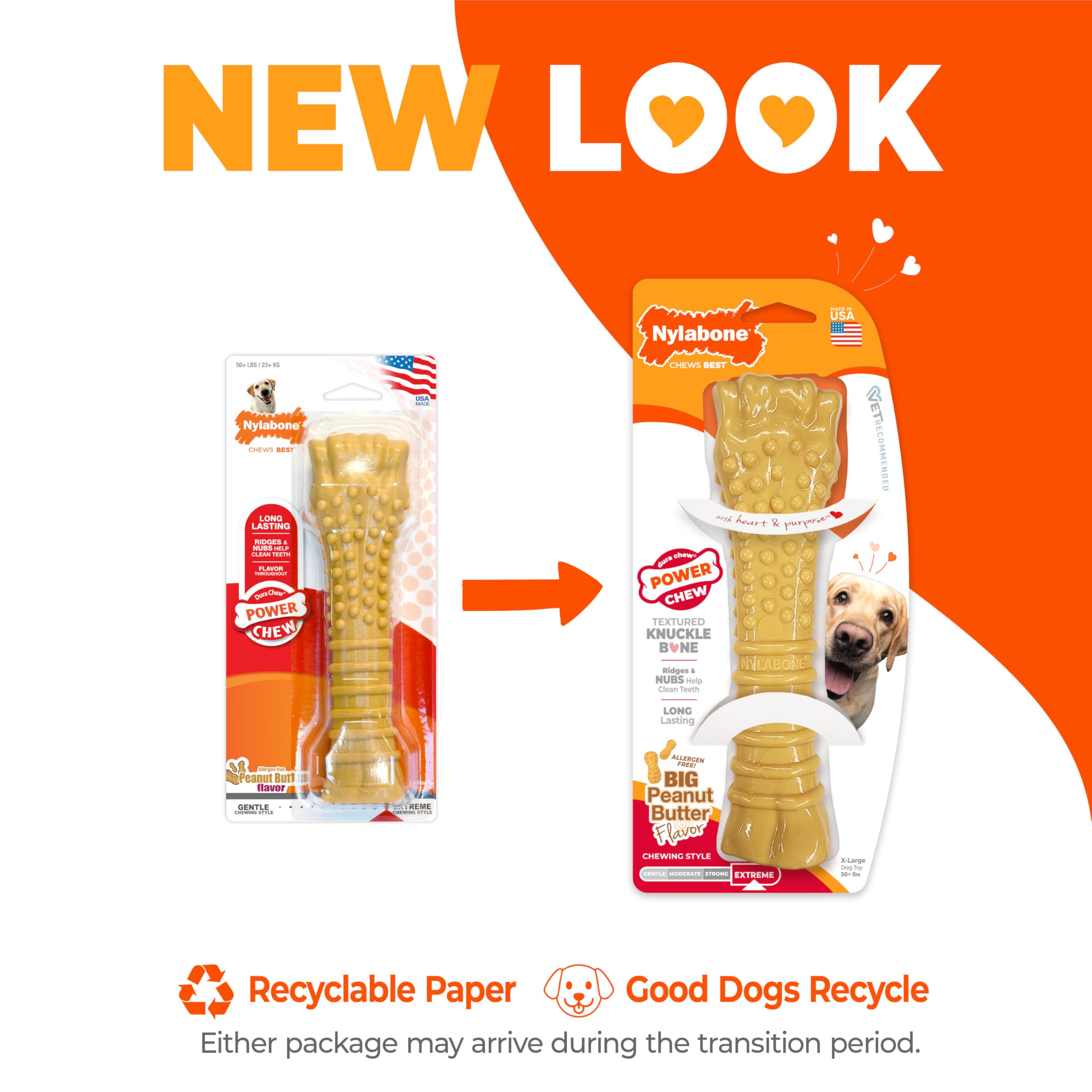 Nylabone Power Chew large-dog over-50-lbs toy during playtime.