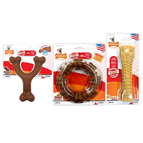 Nylabone Power Chew ridges and nubs surface closeup