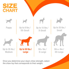 Nylabone Power Chew Toy Bundle 3 shapes encourages playful, varied chewing sessions.