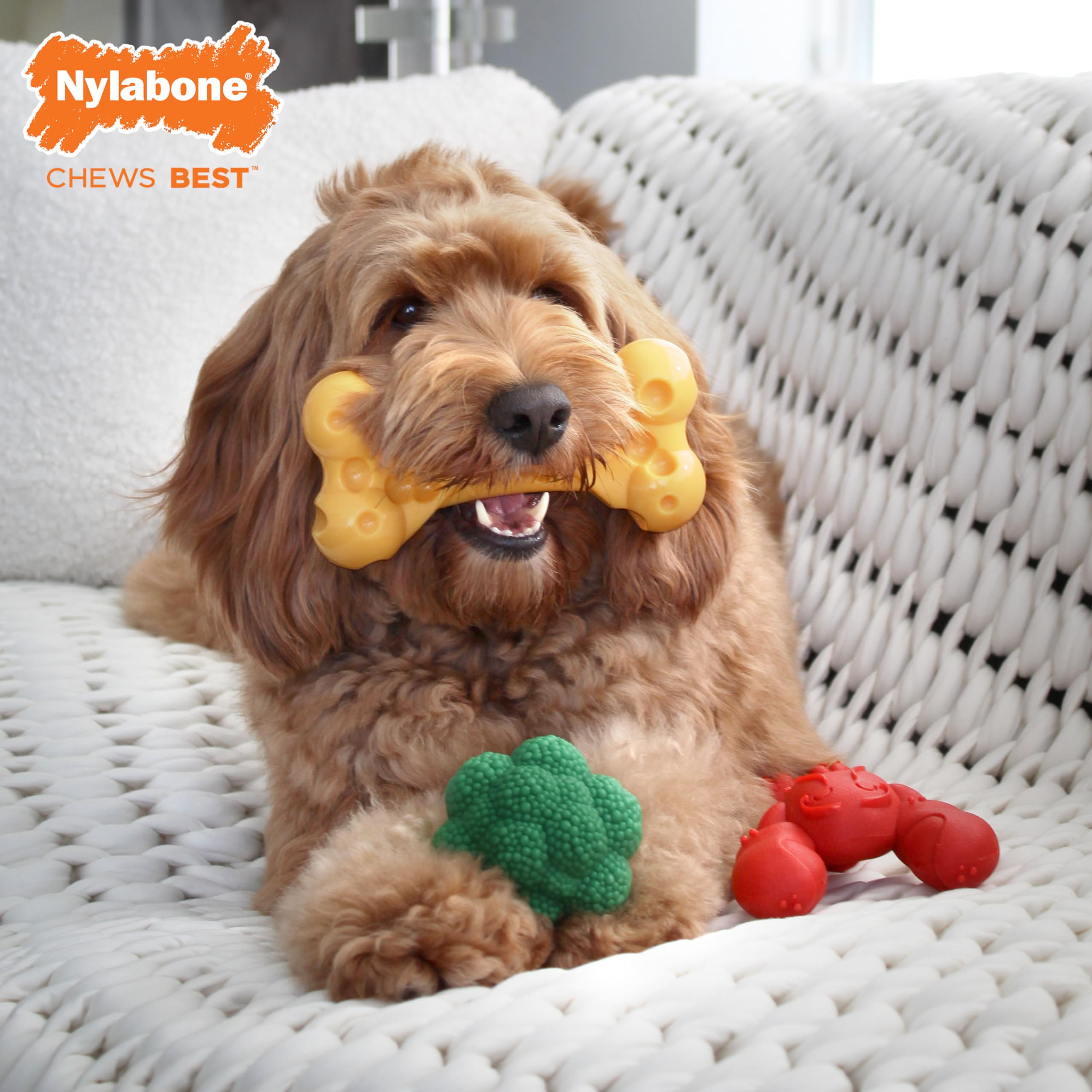 Nylabone Power Chew Toy Bundle broccoli chew promotes engagement during chew time.