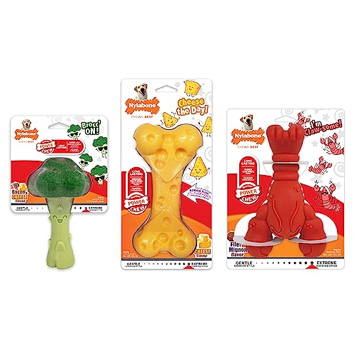 Nylabone Power Chew Toy Bundle durable chew toy for aggressive chewers.