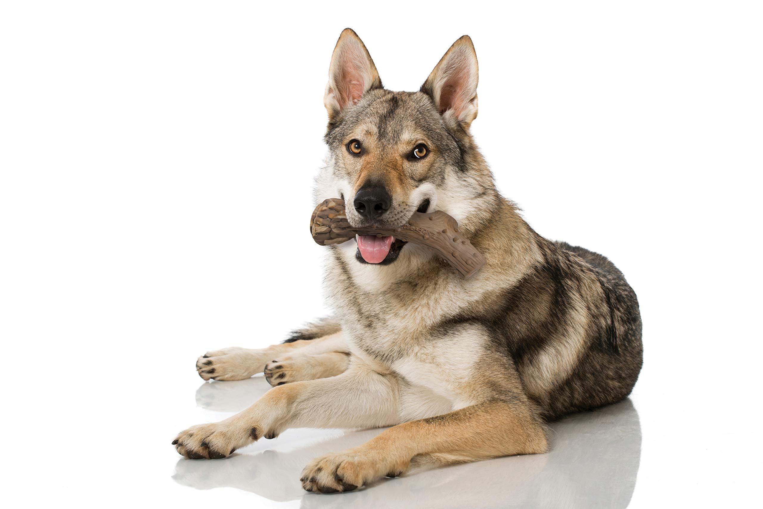 Nylabone Power Chew venison flavor close-up, textured nylon for lasting chew.