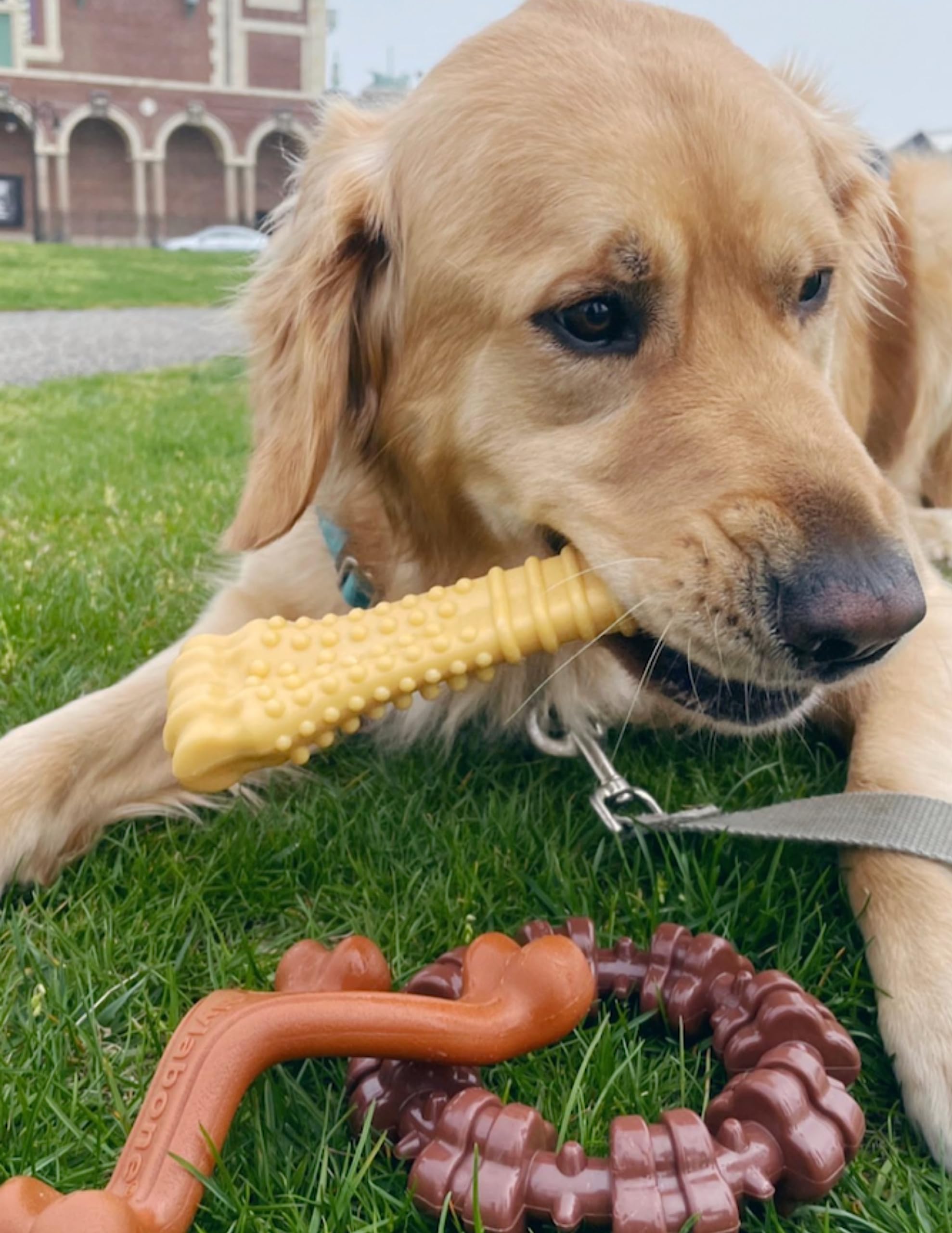Nylabone Power Chew wishbone ergonomic hold for large dogs