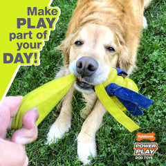 Nylabone Power Play Gripz, rebote y balance para sesiones dinámicas de juego.