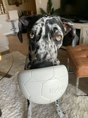 Nylabone Power Play Gripz Soccer Ball bounce-and-roll keeps dogs engaged.