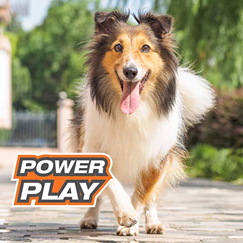 Nylabone Power Play Gripz Soccer Ball durable rubber for regular play.