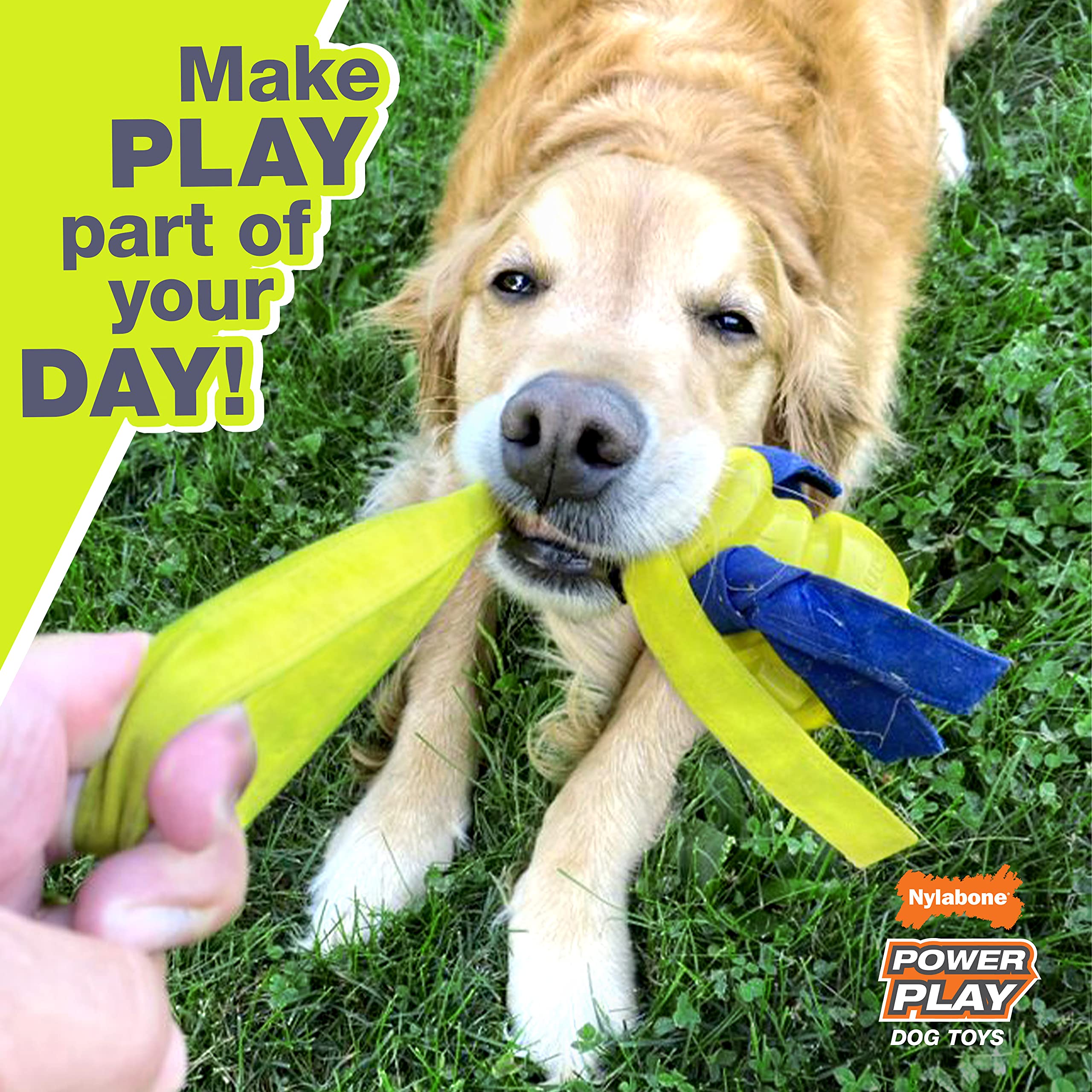 Nylabone Power Play Gripz Soccer Ball medium size five-and-a-half-inch for mid-sized dogs.