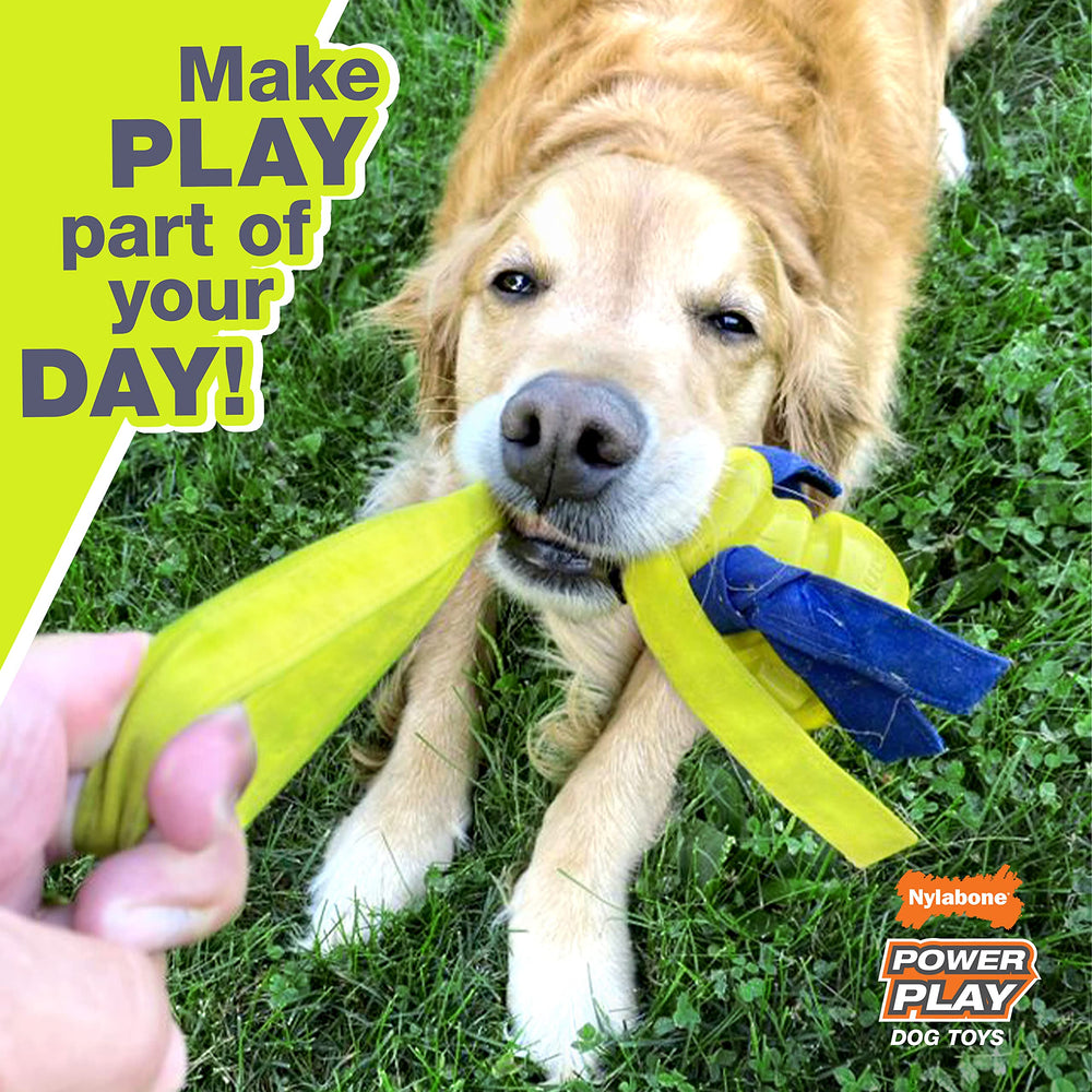 Nylabone Power Play Gripz Soccer Ball medium size five-and-a-half-inch for mid-sized dogs.
