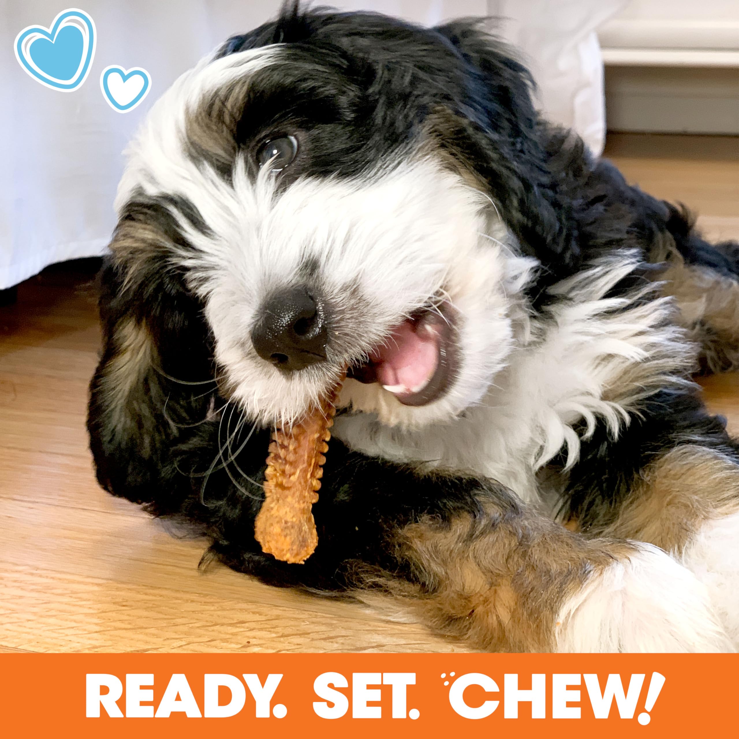 Nylabone Puppy Gift Box illustrates digestible, limited-ingredient treats for puppies