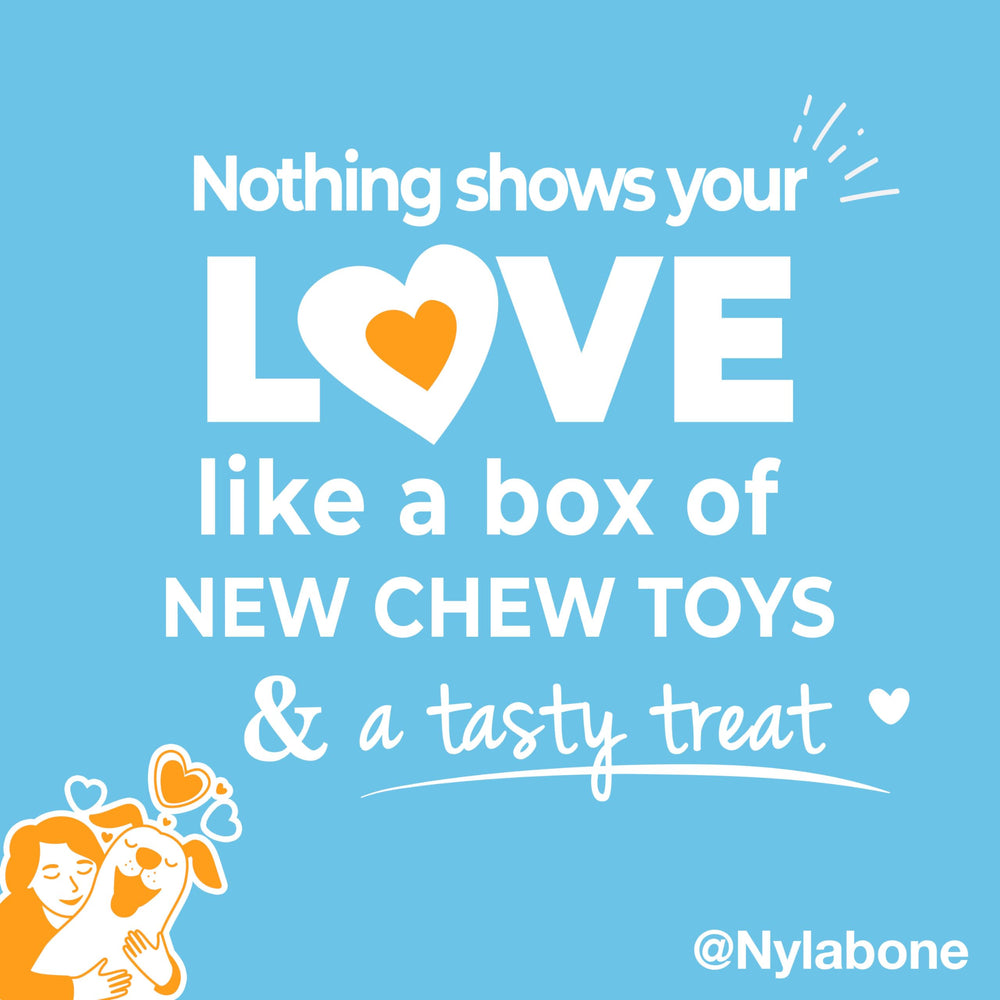 Nylabone Puppy Gift Box Nubz natural chew treat with turkey and sweet potato flavor