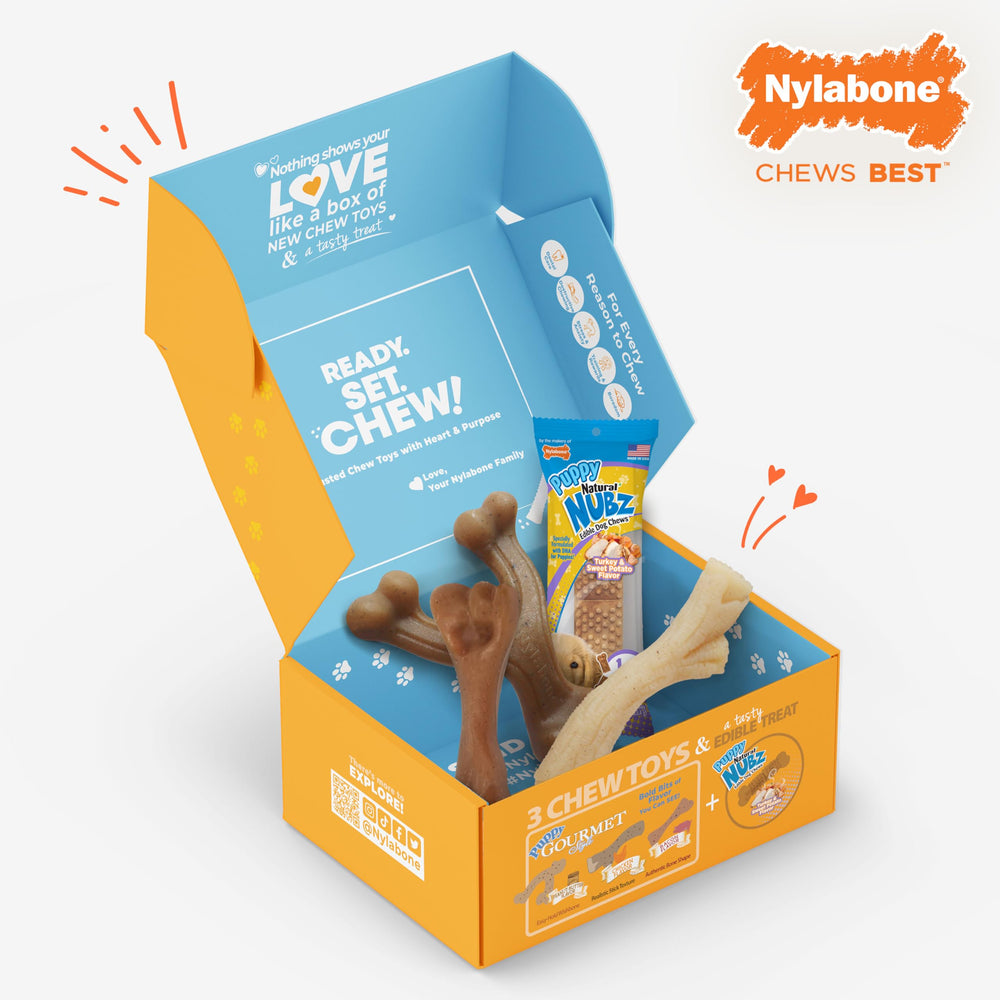 Nylabone Puppy Gift Box designed for small pups up to 25 pounds, quality and safety