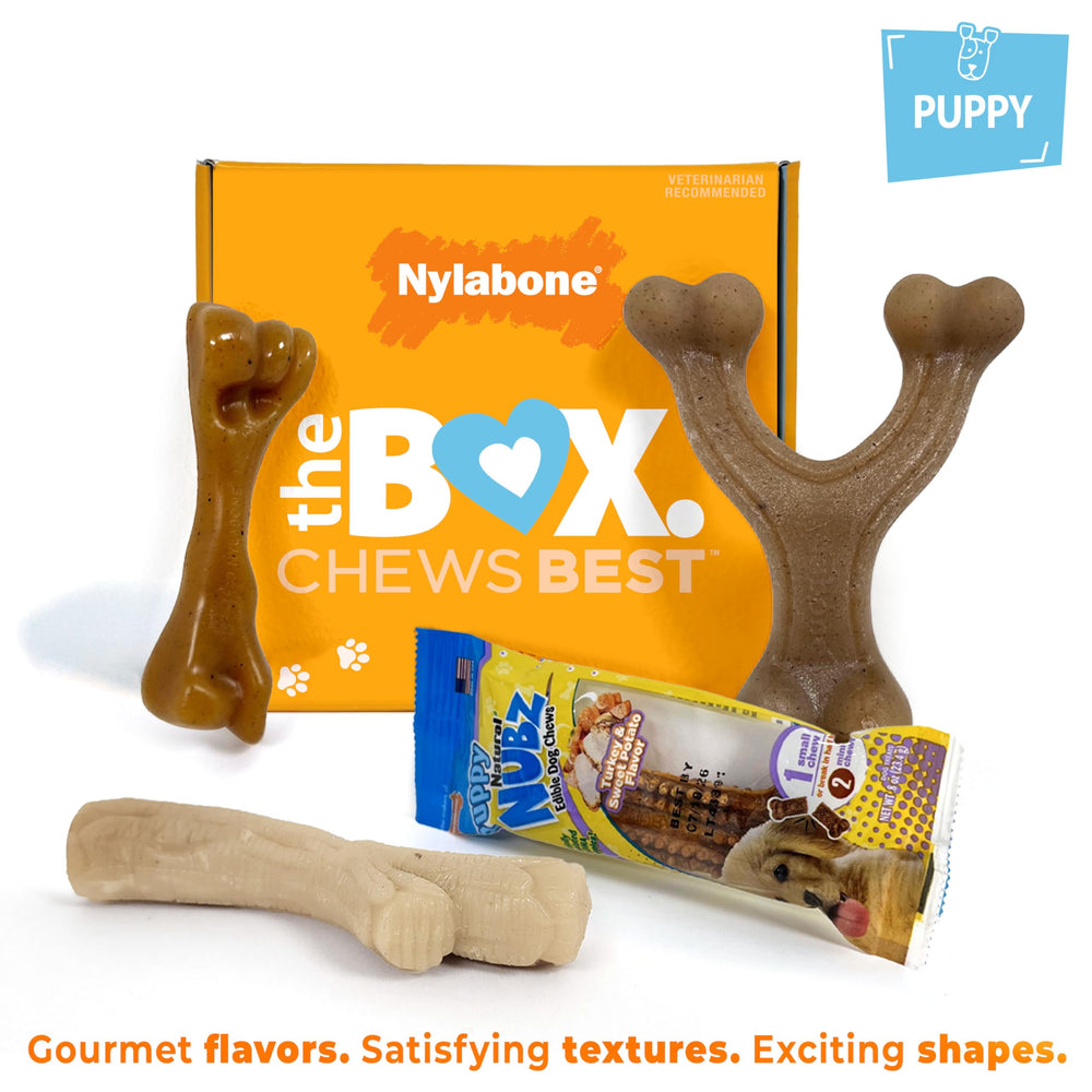 Nylabone Puppy Gift Box features wishbone chew toy easy to hold and chew from any angle