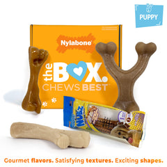 Nylabone Puppy Gift Box features wishbone chew toy easy to hold and chew from any angle