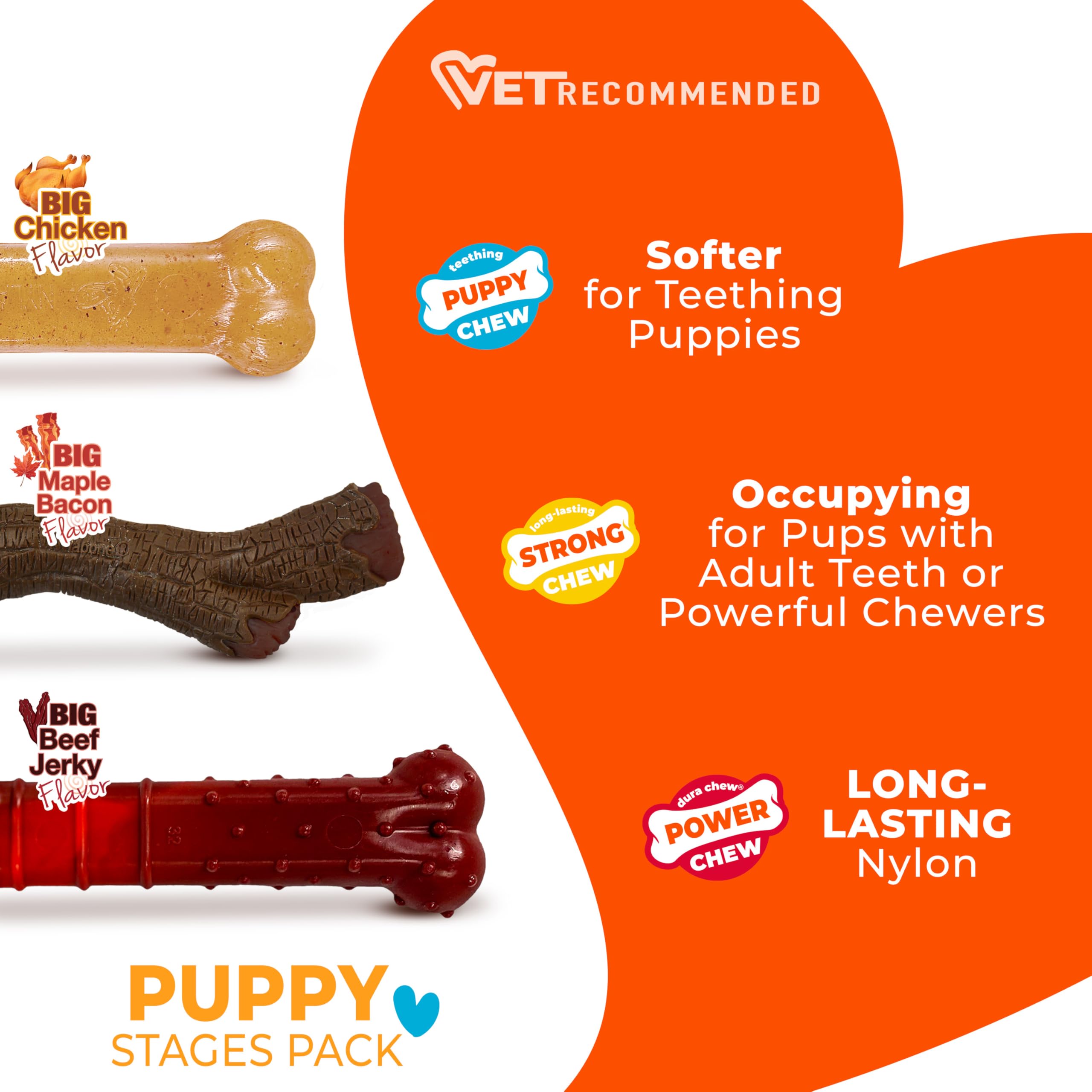 Nylabone Puppy Stages Pack beef jerky power chew with ridges.