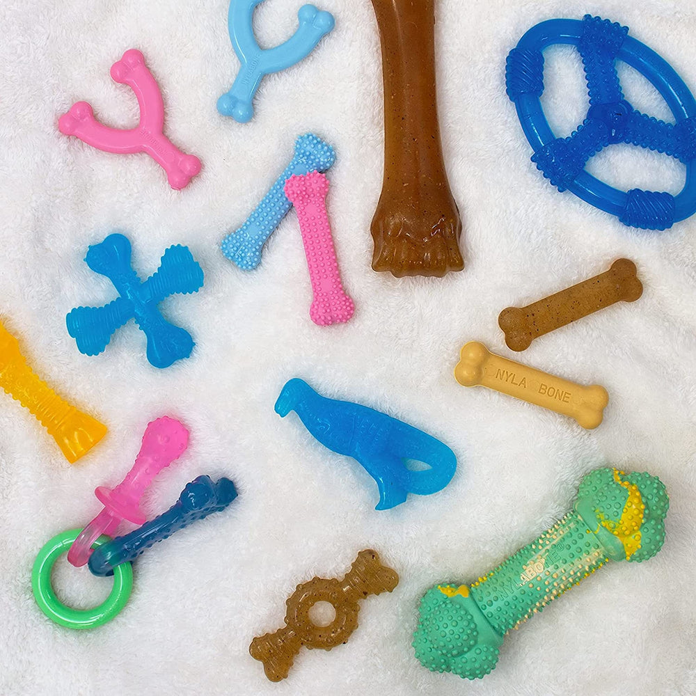 Nylabone Ring Bone close-up texture details for durable chew sessions