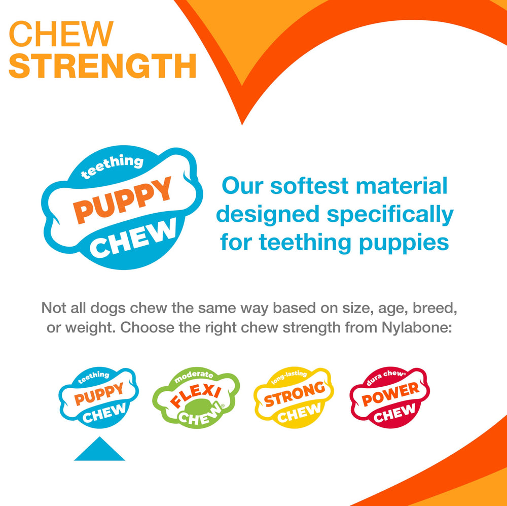 Nylabone Ring Bone two-toy pack arranged for playtime and dental care
