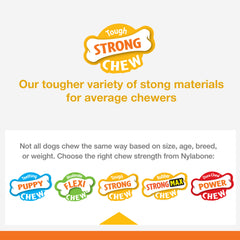 Nylabone rubber peanut shaped treat toy peanut butter flavor for tasty engagement