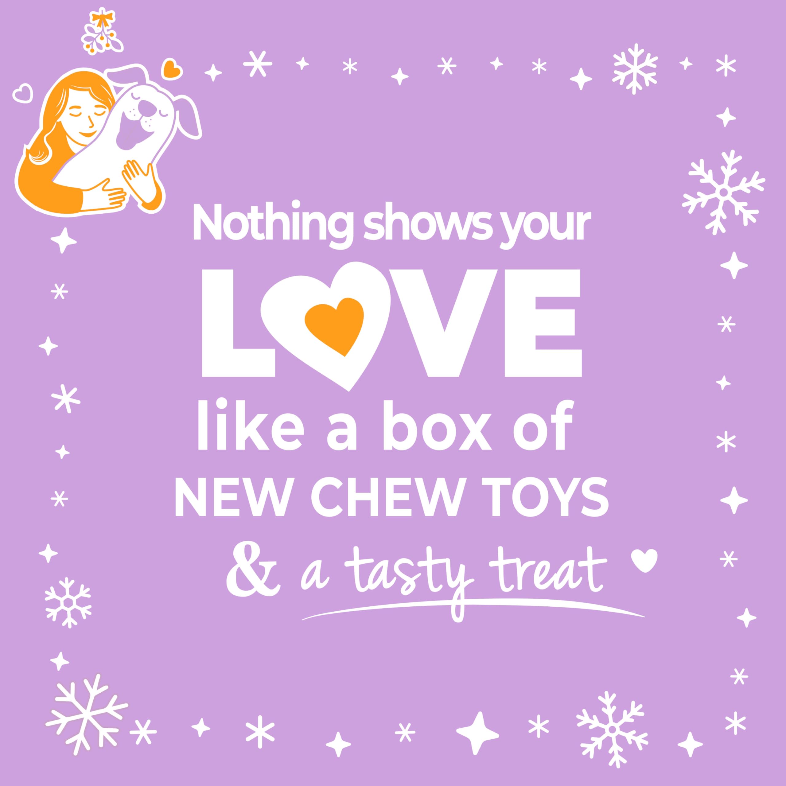 Nylabone small dogs up to 25 pounds gift set supports safe chewing
