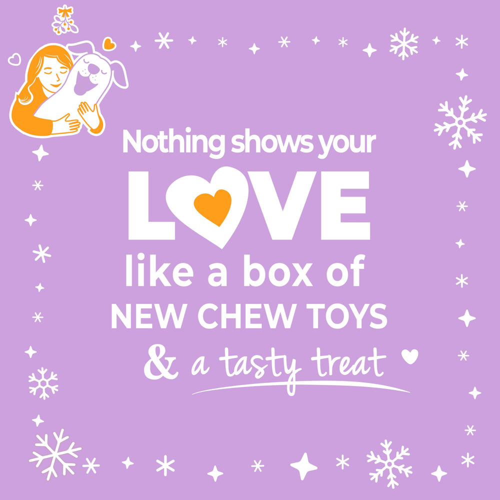 Nylabone small dogs up to 25 pounds gift set supports safe chewing