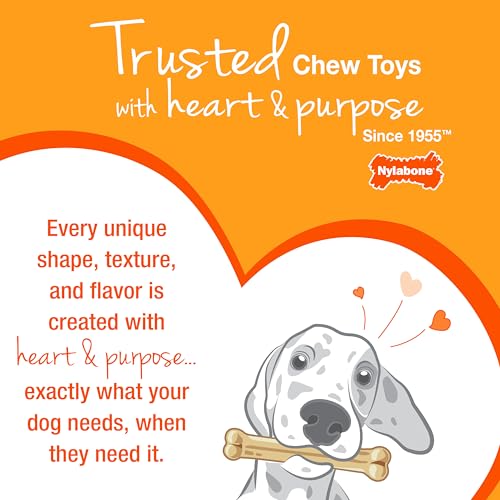 Nylabone Teething Toy Care and Use Tips.