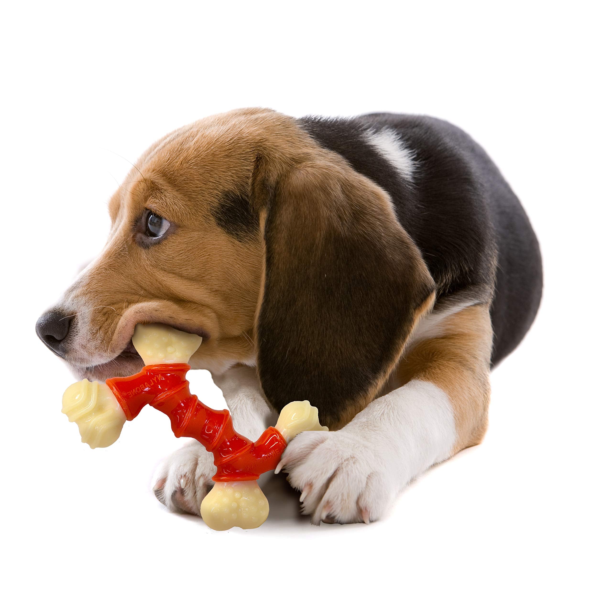 Nylabone Texturas en relieve para cepillar encías.