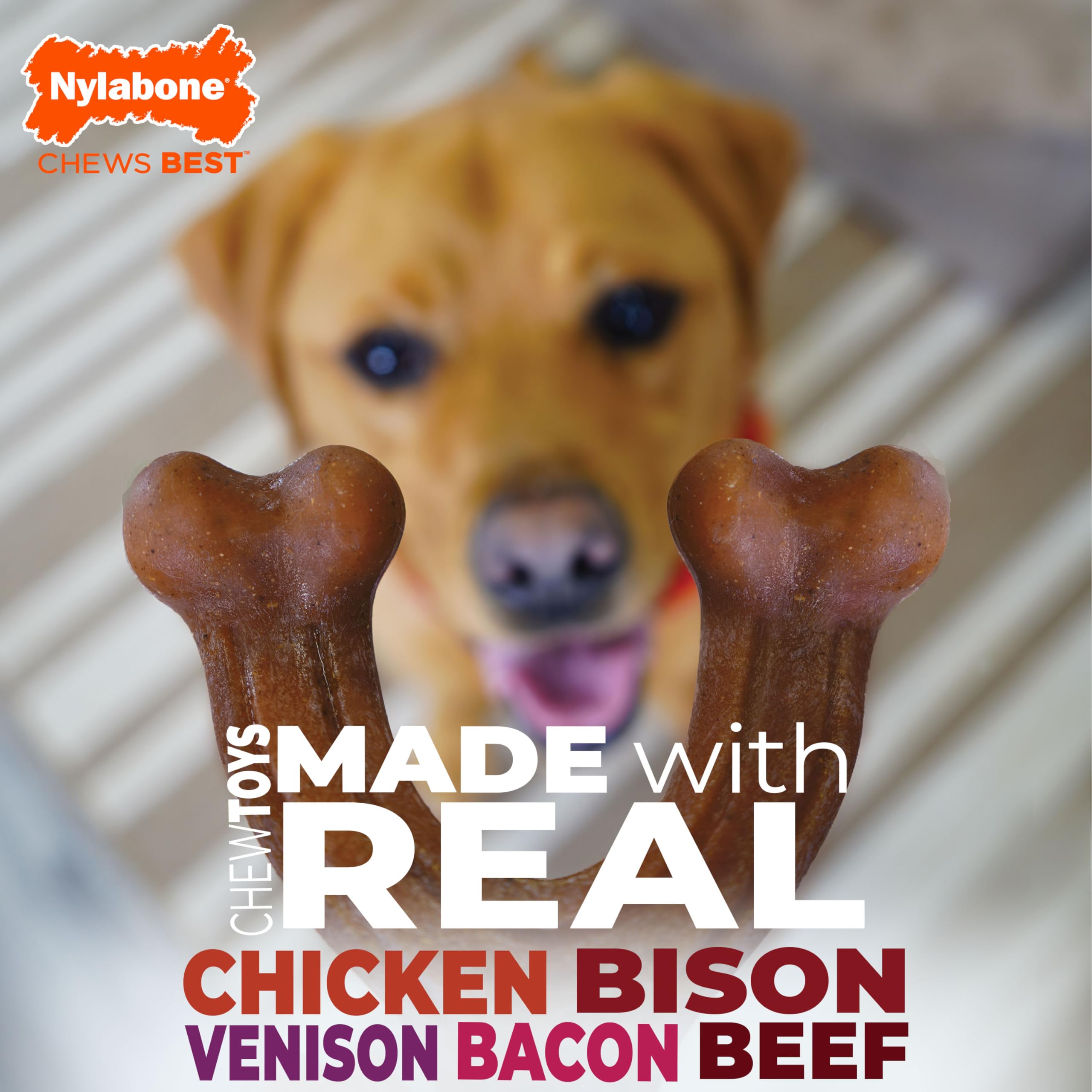 Nylabone Ayuda a reducir el aburrimiento durante la masticación.
