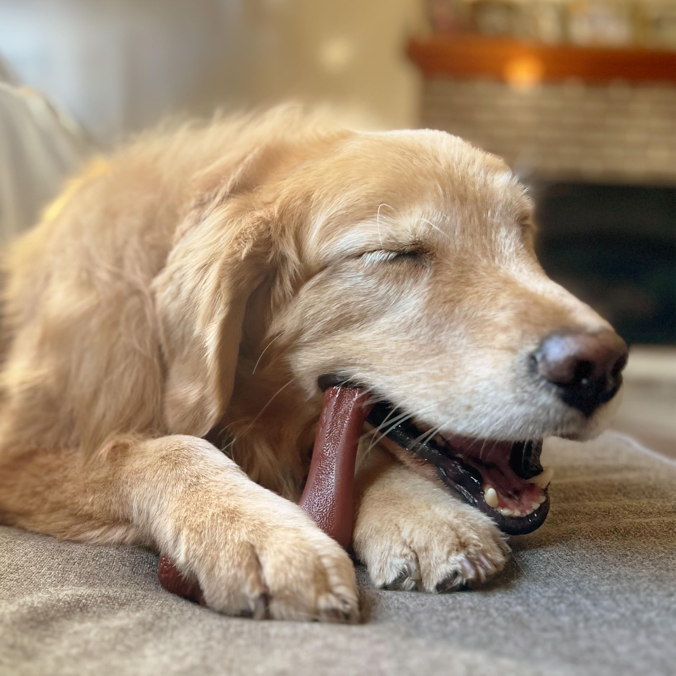 Nylabone Veterinarian-recommended chew toy for dogs with strong chewing instincts.