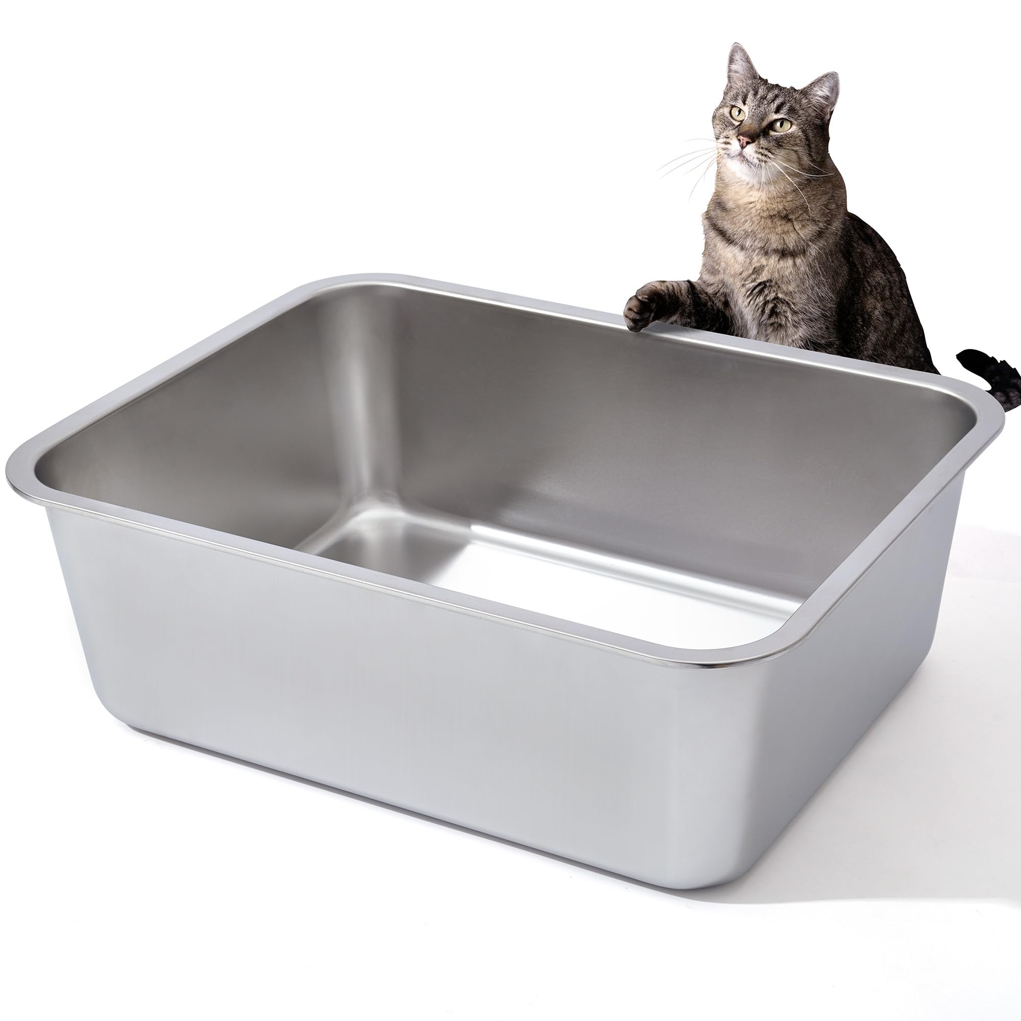 Nyutu stainless litter box front view emphasizes sturdy construction and containment.