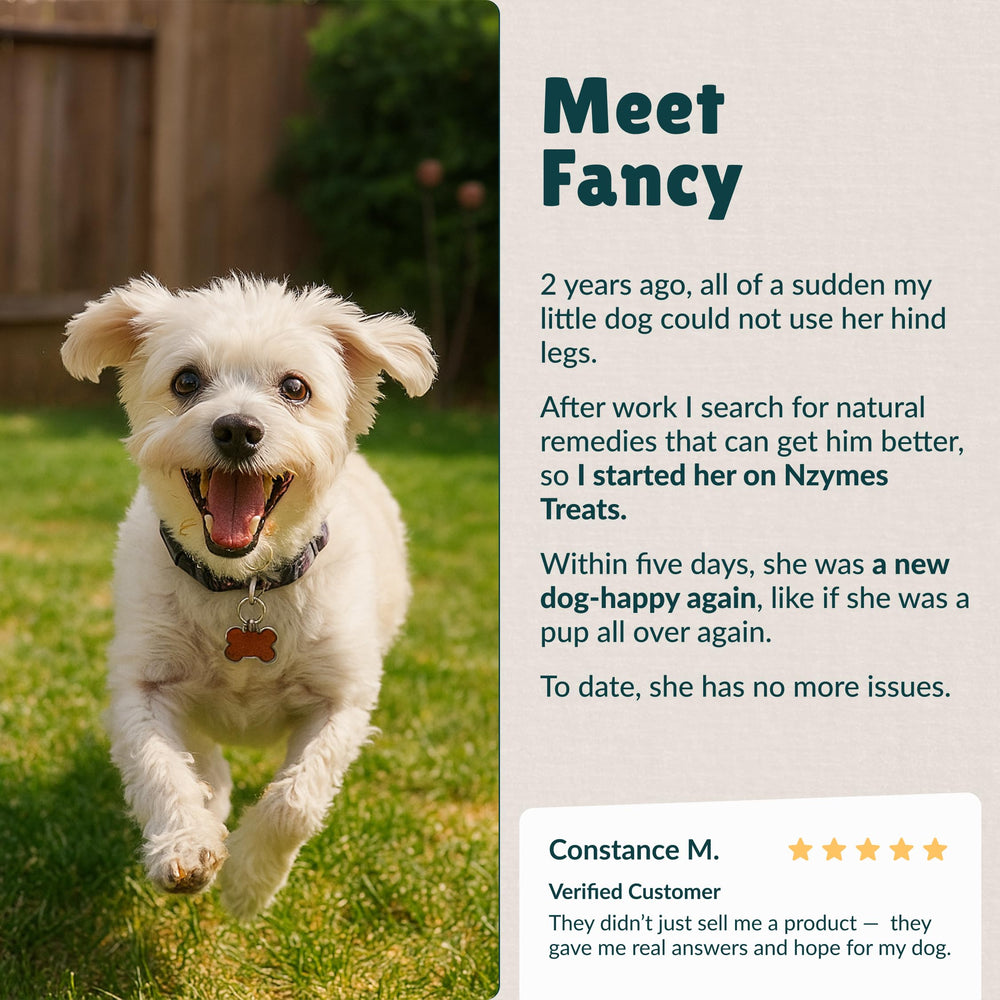 Nzymes Antioxidant Tiny Treats dog-offering-treat captures gentle rewards for routine care.