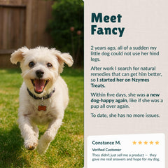 Nzymes Antioxidant Tiny Treats dog-offering-treat captures gentle rewards for routine care.