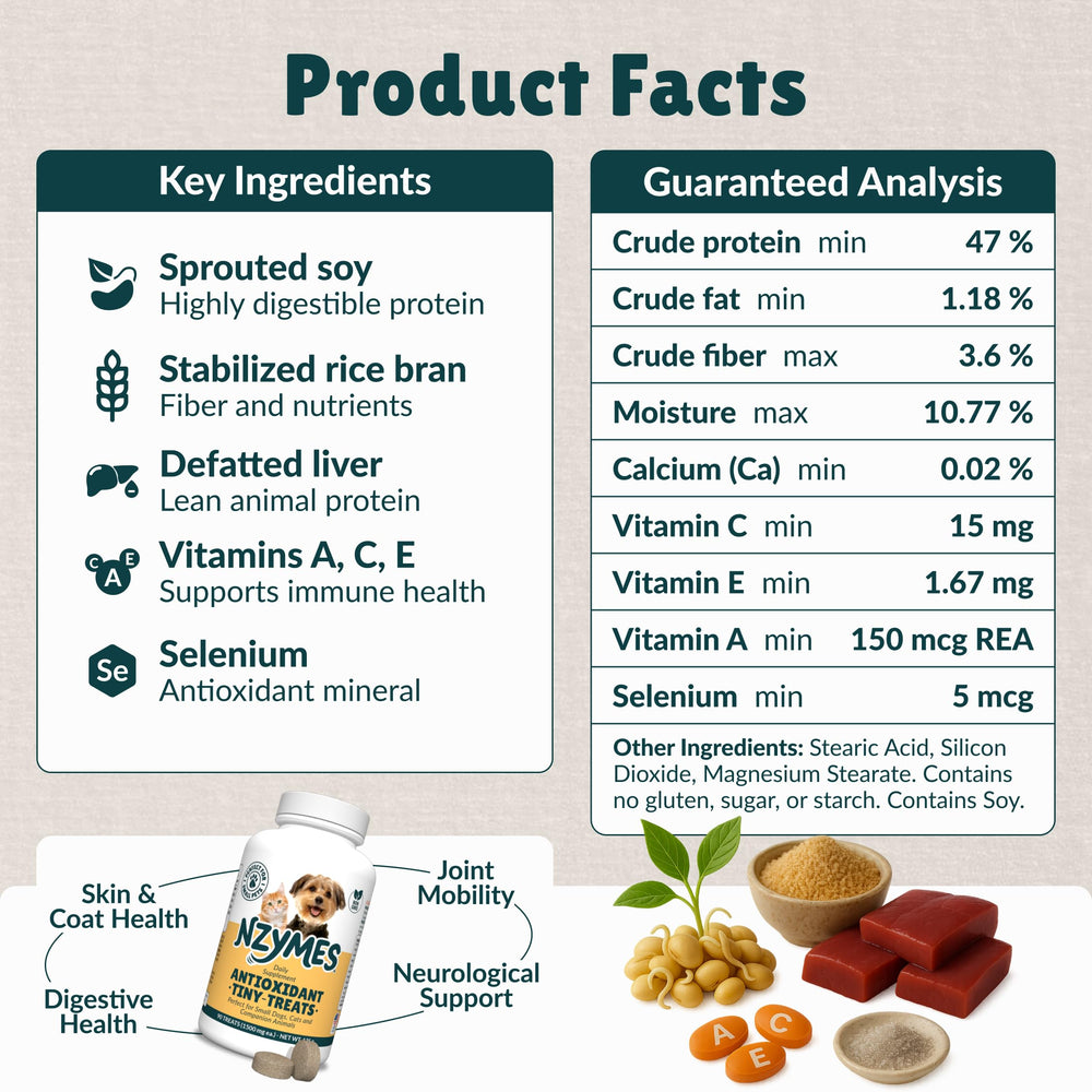 Nzymes Antioxidant Tiny Treats texture-closeup reveals chewy, pliable consistency.