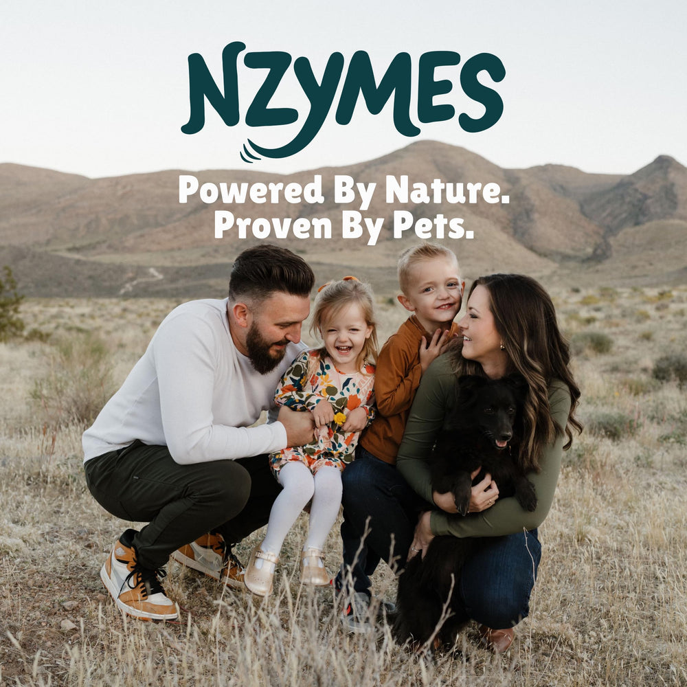 Nzymes Antioxidant Treats daily routine image suggesting treat-as-part-of-day