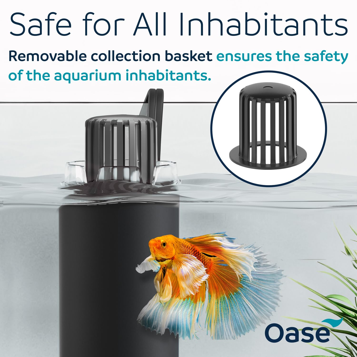 OASE CrystalSkim 350 tank setup demonstrating space-saving internal filter