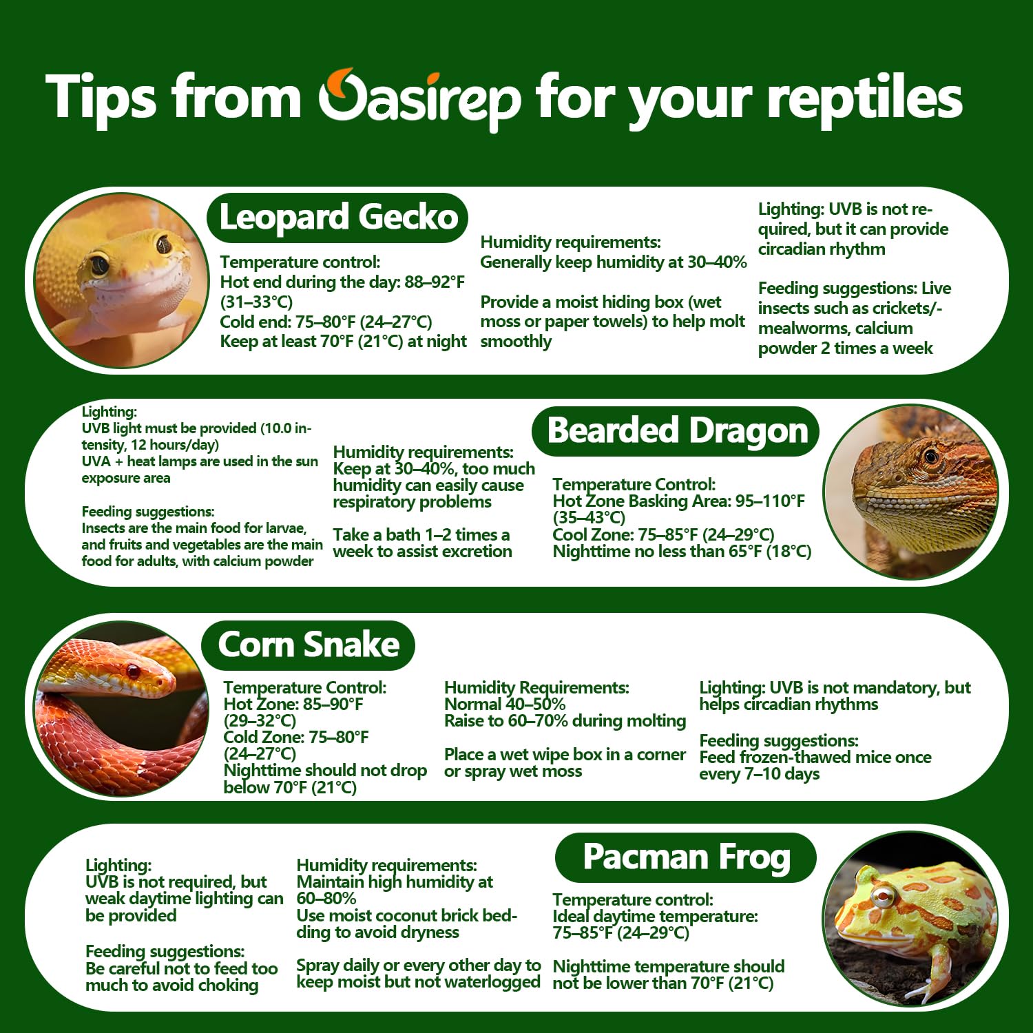 Oasirep ABS resin enclosure offers durable, eco-friendly housing for reptile habitats.