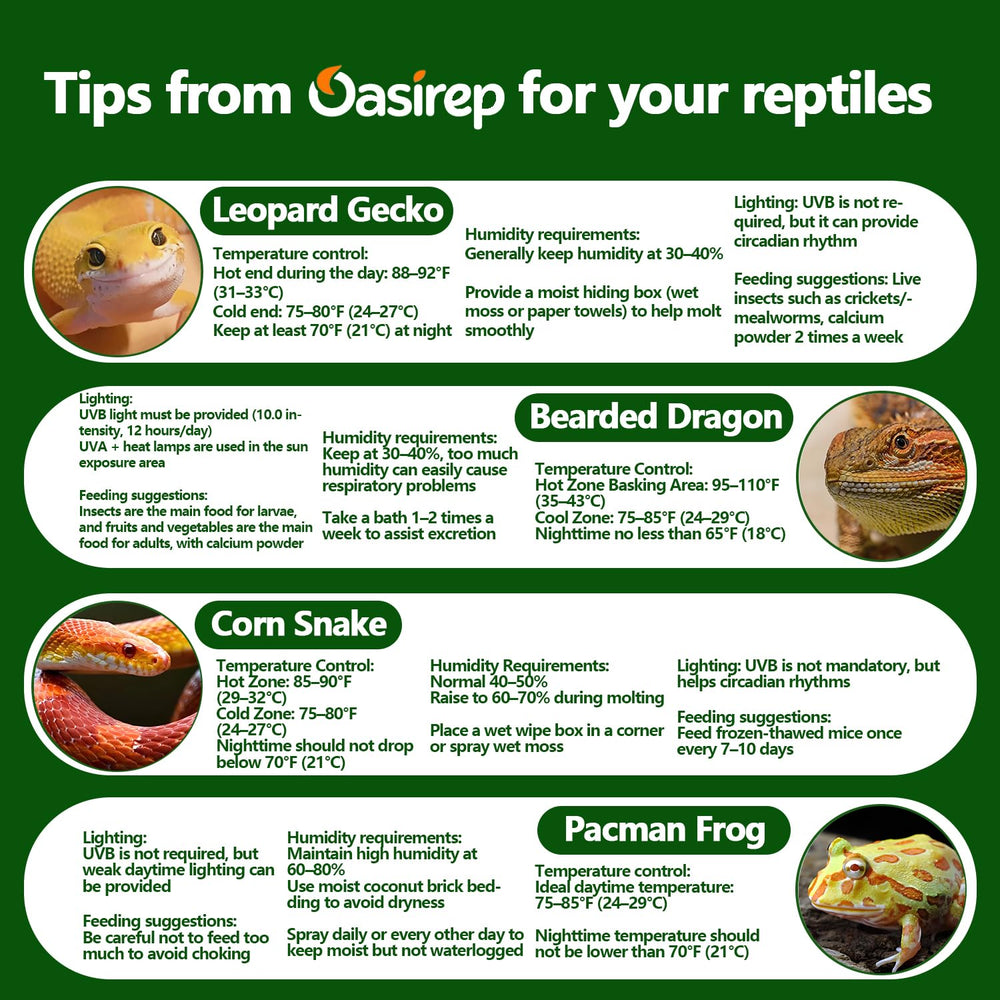 Oasirep ABS resin enclosure offers durable, eco-friendly housing for reptile habitats.