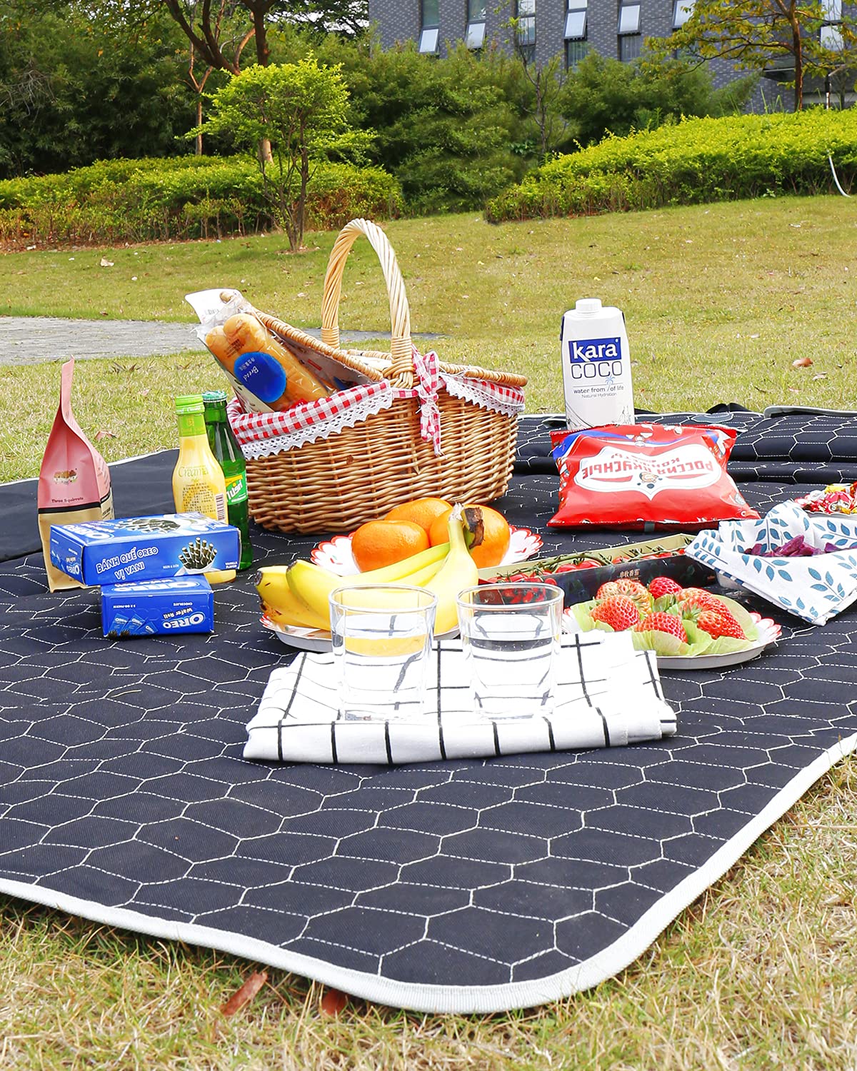 Oasser built-in pockets store leashes, towels, and toys for pets on the go