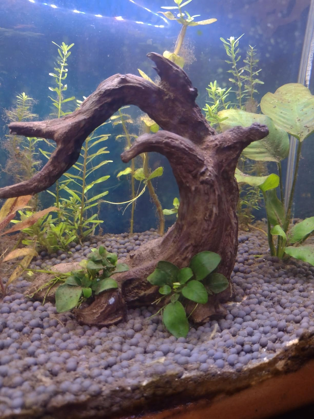 Obantrsz complete set supports versatile decor inside tanks and terrariums.